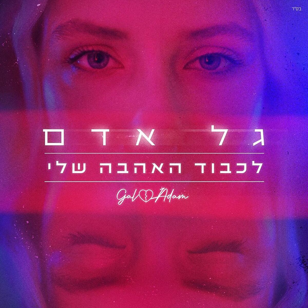 Album cover of לכבוד האהבה שלי