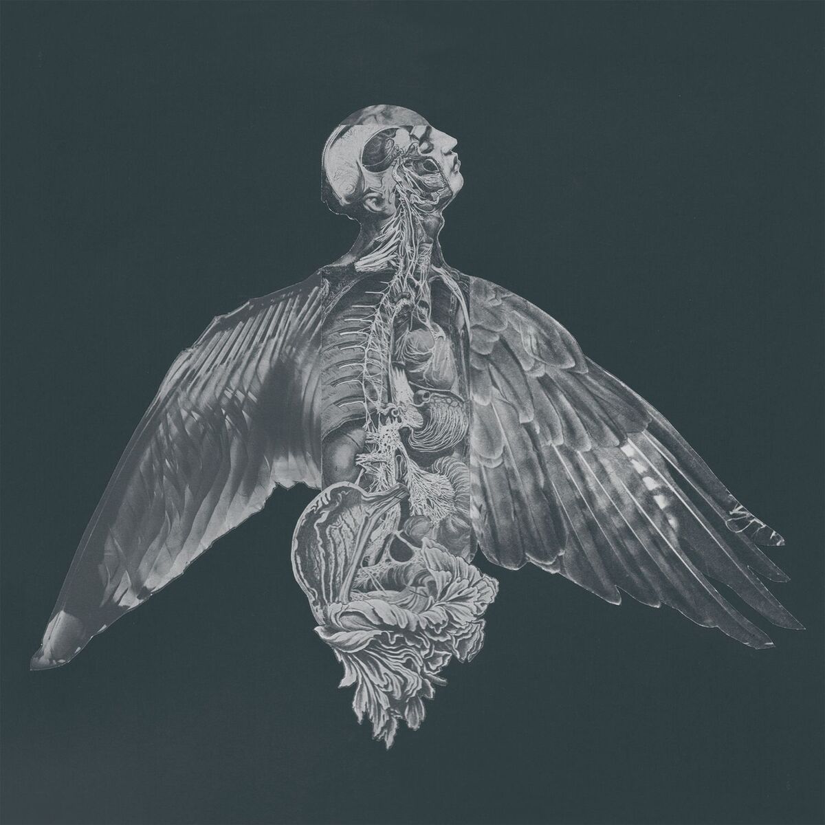 Album cover of Til Vinden I Dine Øjne