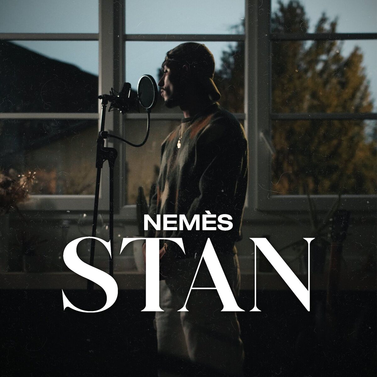 Album cover of Stan