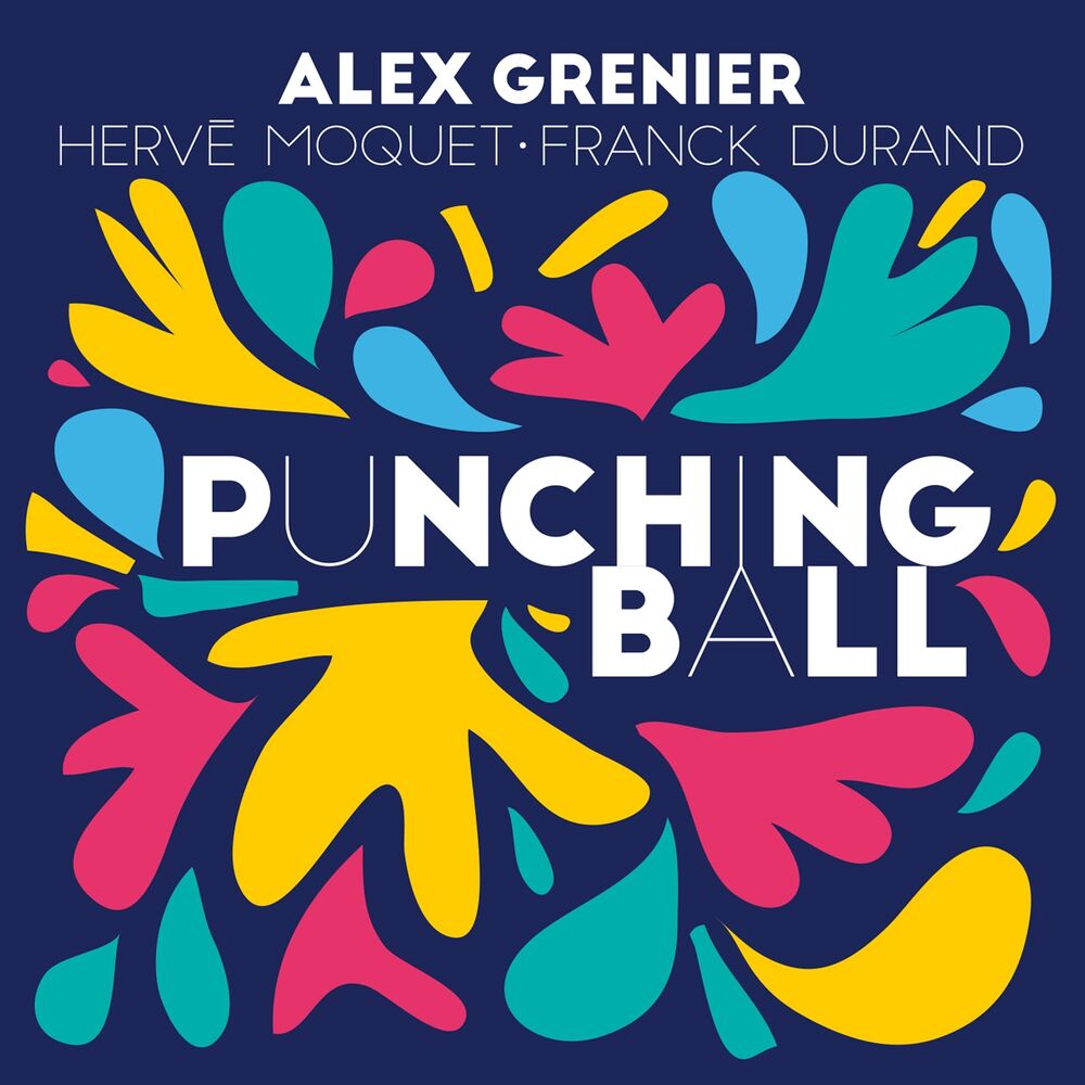 Picture of Punching Ball