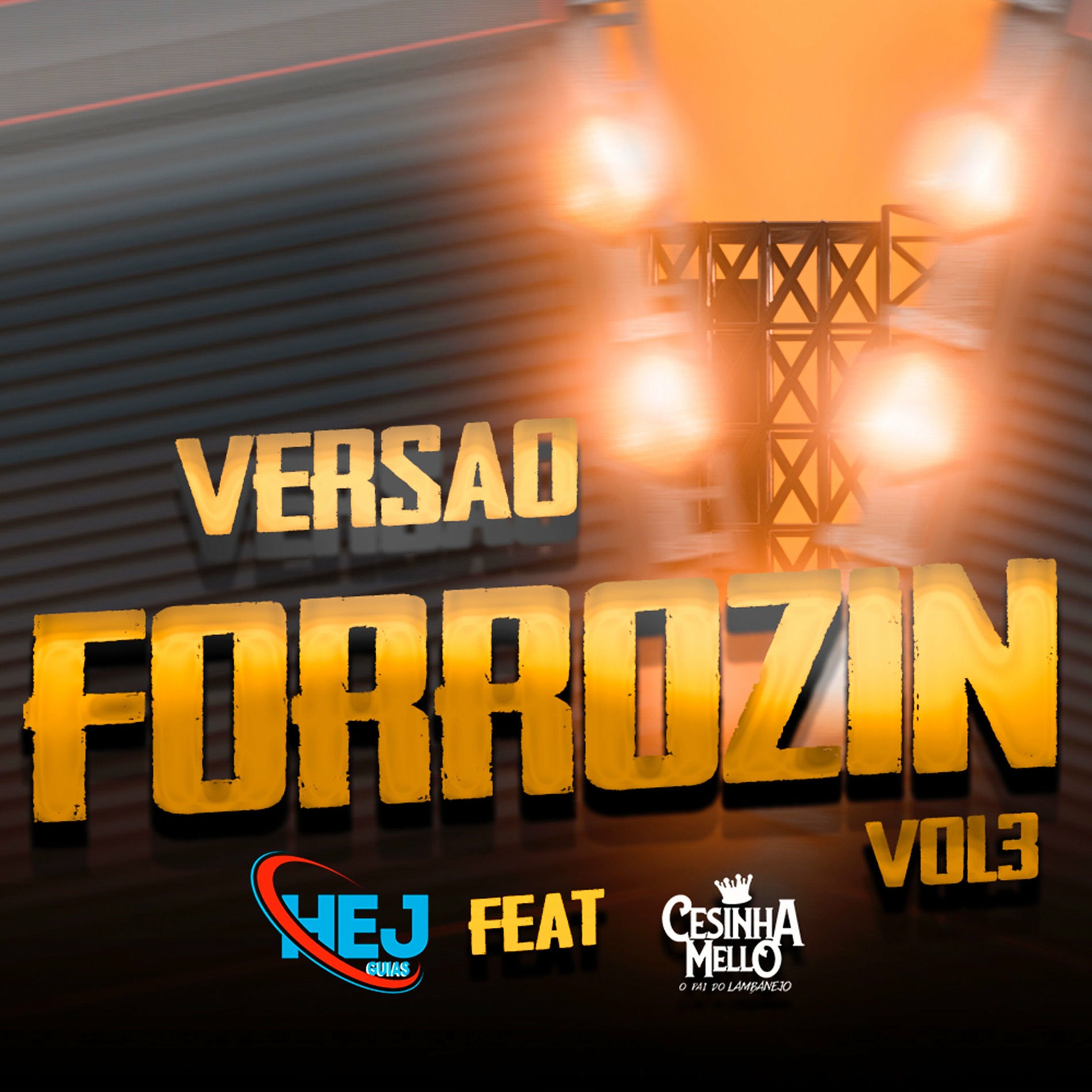 Album cover of Versao Forrozin Vol3