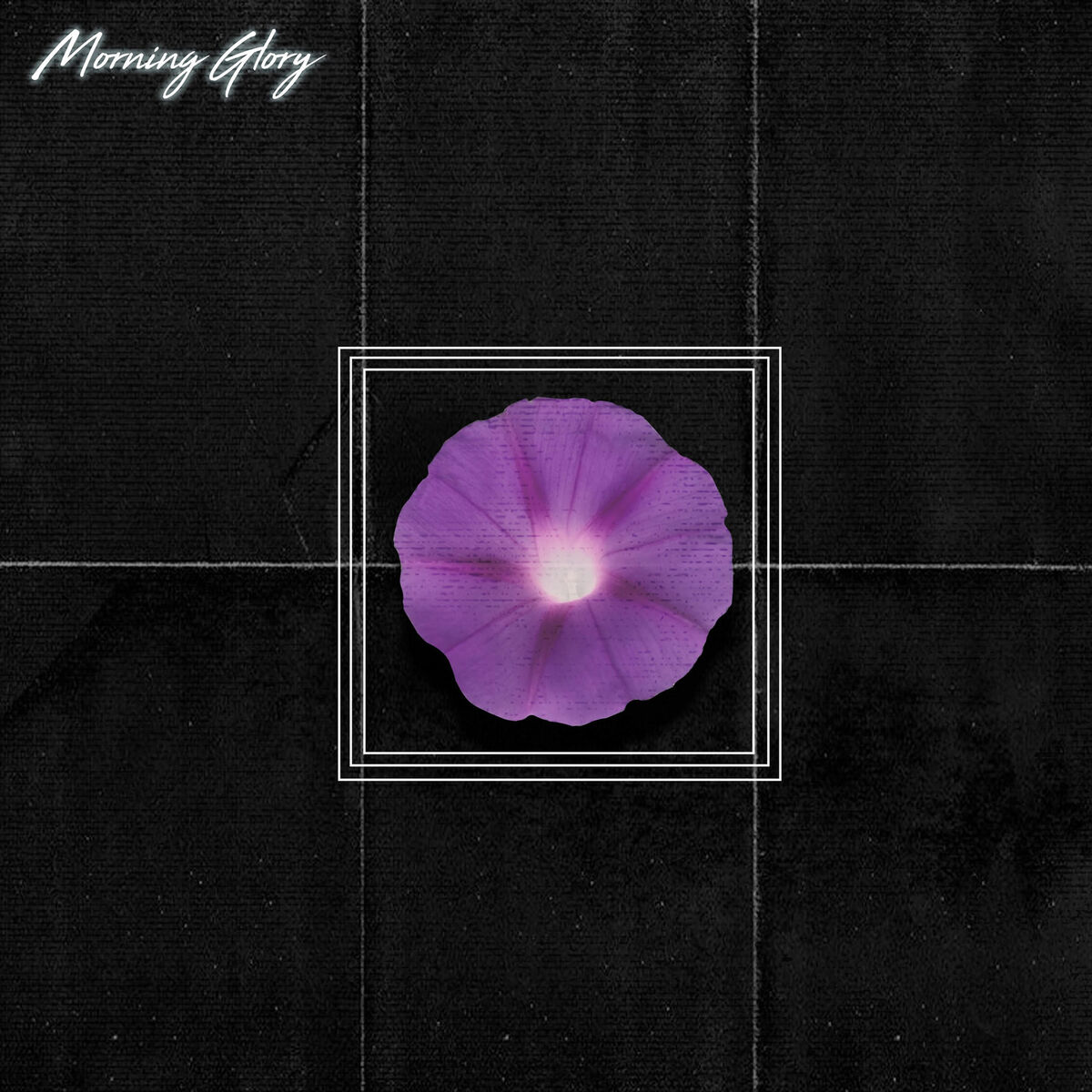 Album cover of Morning Glory