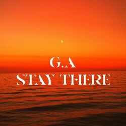 Cover of Stay There