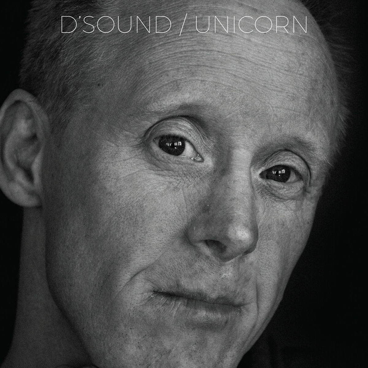 Album cover of Unicorn