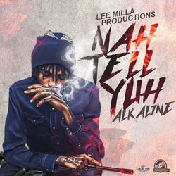 Cover of Nah Tell Yuh