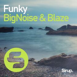 Cover of Funky