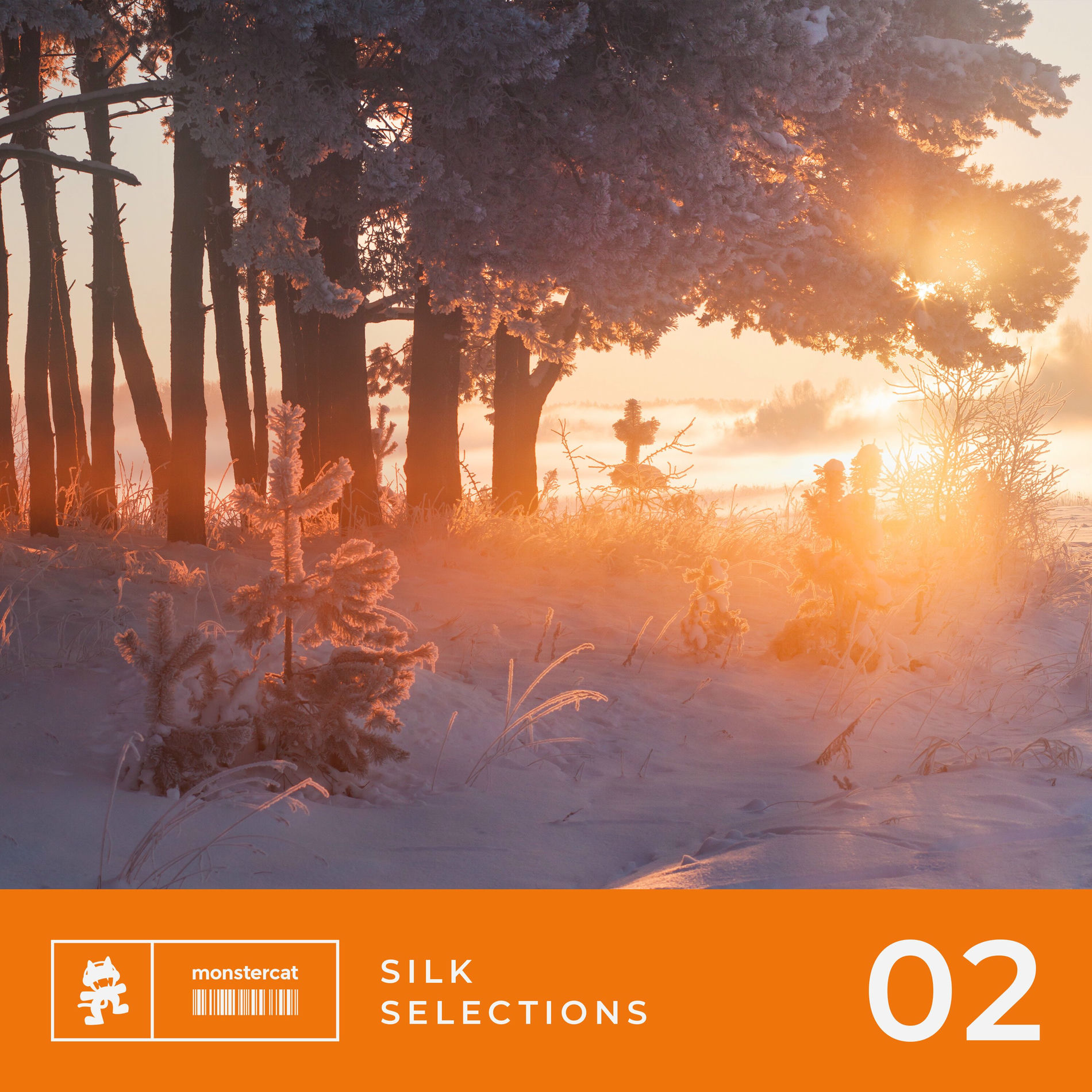 Album cover of Silk Selections 02