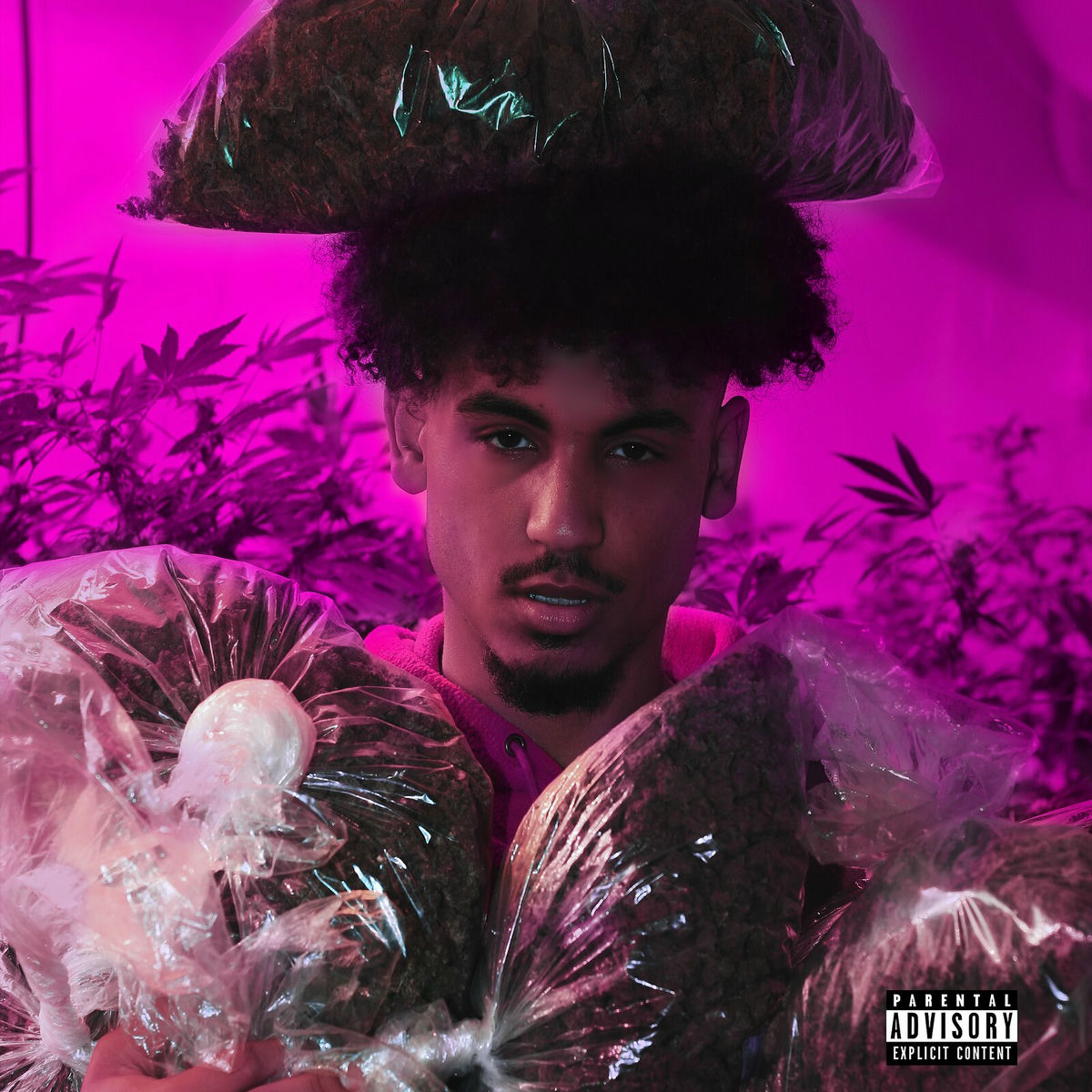 Album cover of Stackin P's
