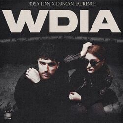 Cover of WDIA (Would Do It Again)