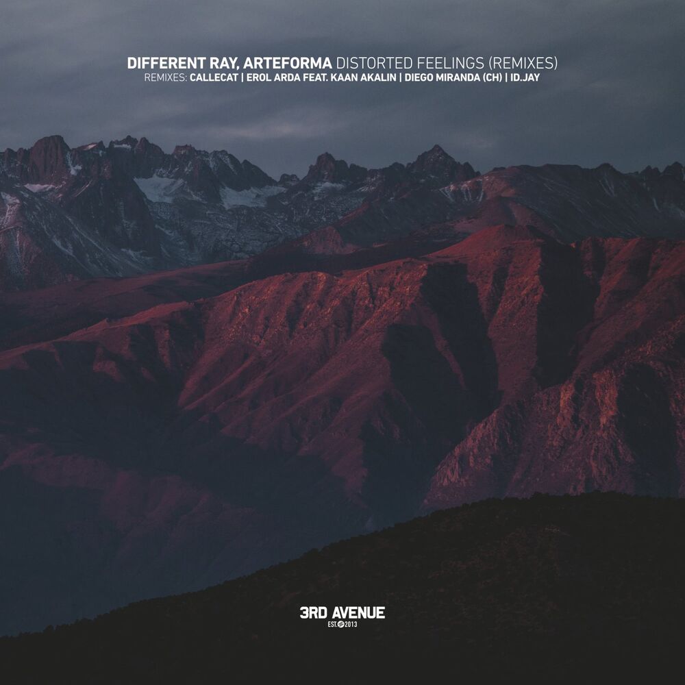 Picture of Distorted Feelings (Remixes)
