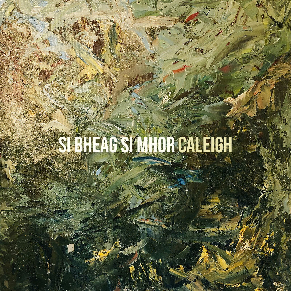 Album cover of Si Bheag Si Mhor