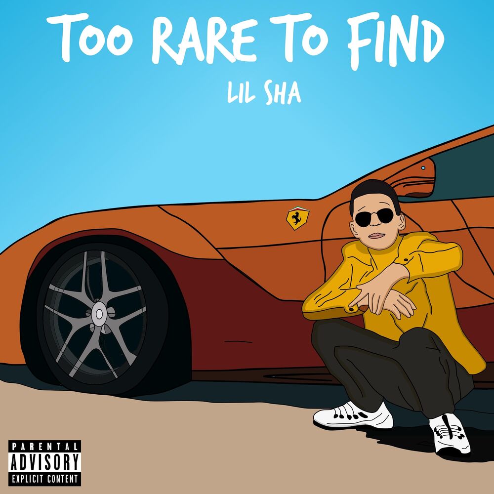 Picture of Too Rare to Find