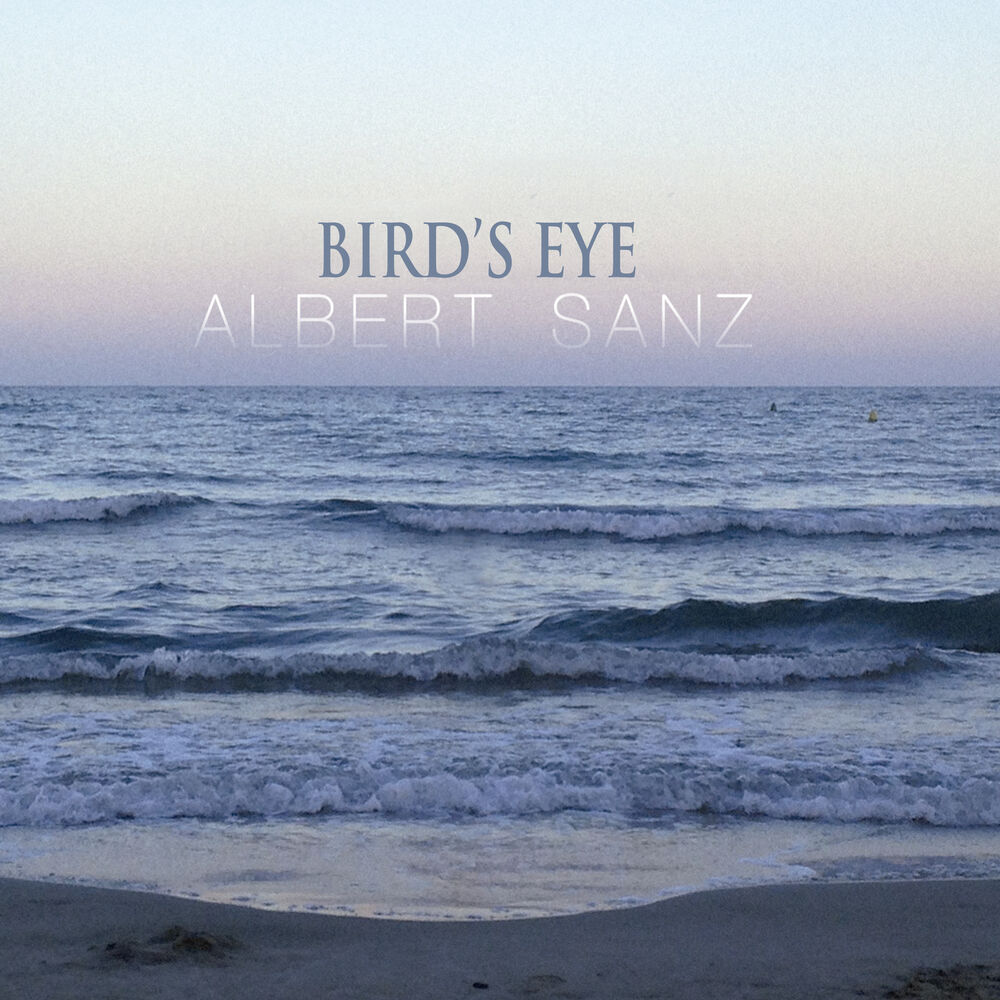 Picture of Bird's Eye - Single