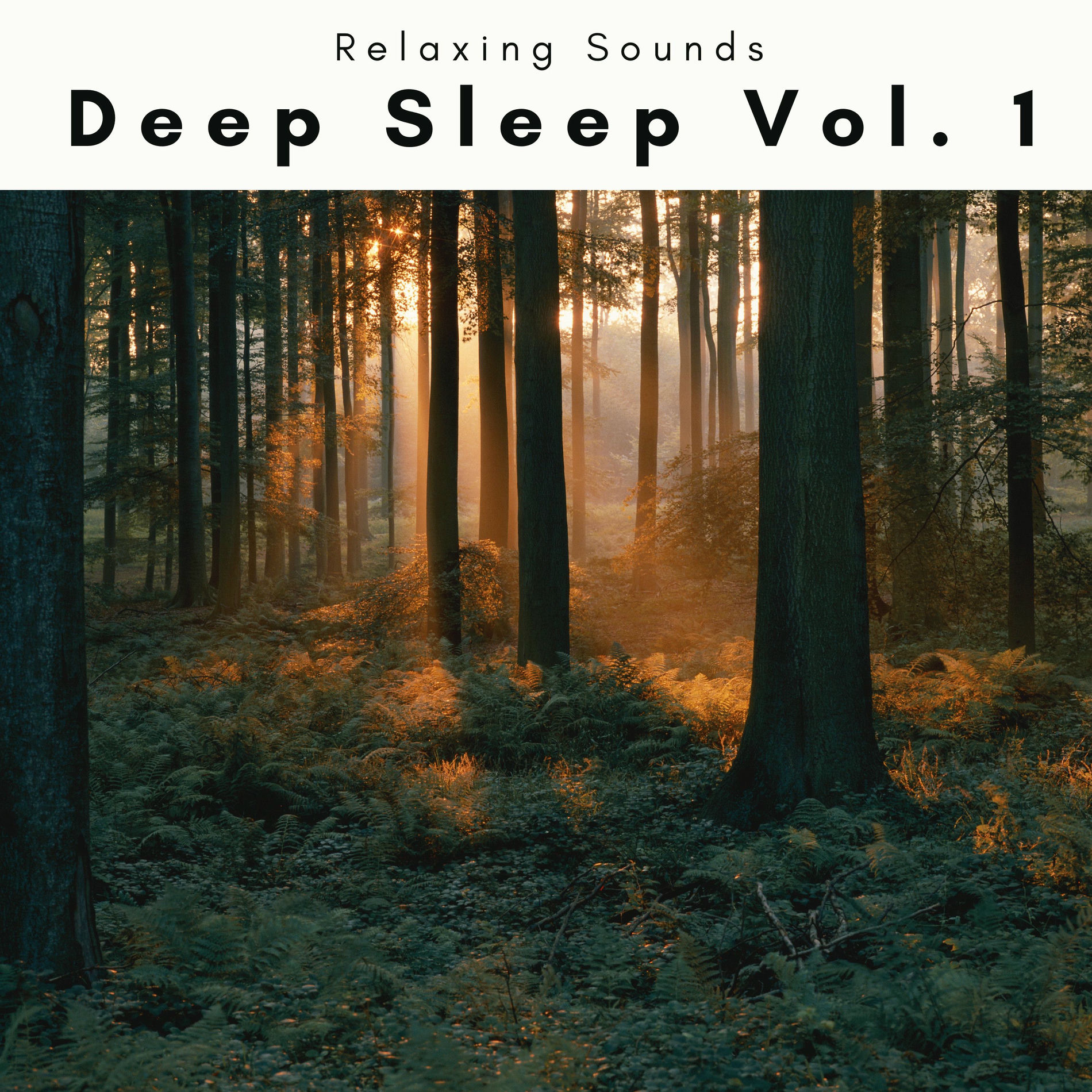Album cover of Deep Sleep Vol. 1