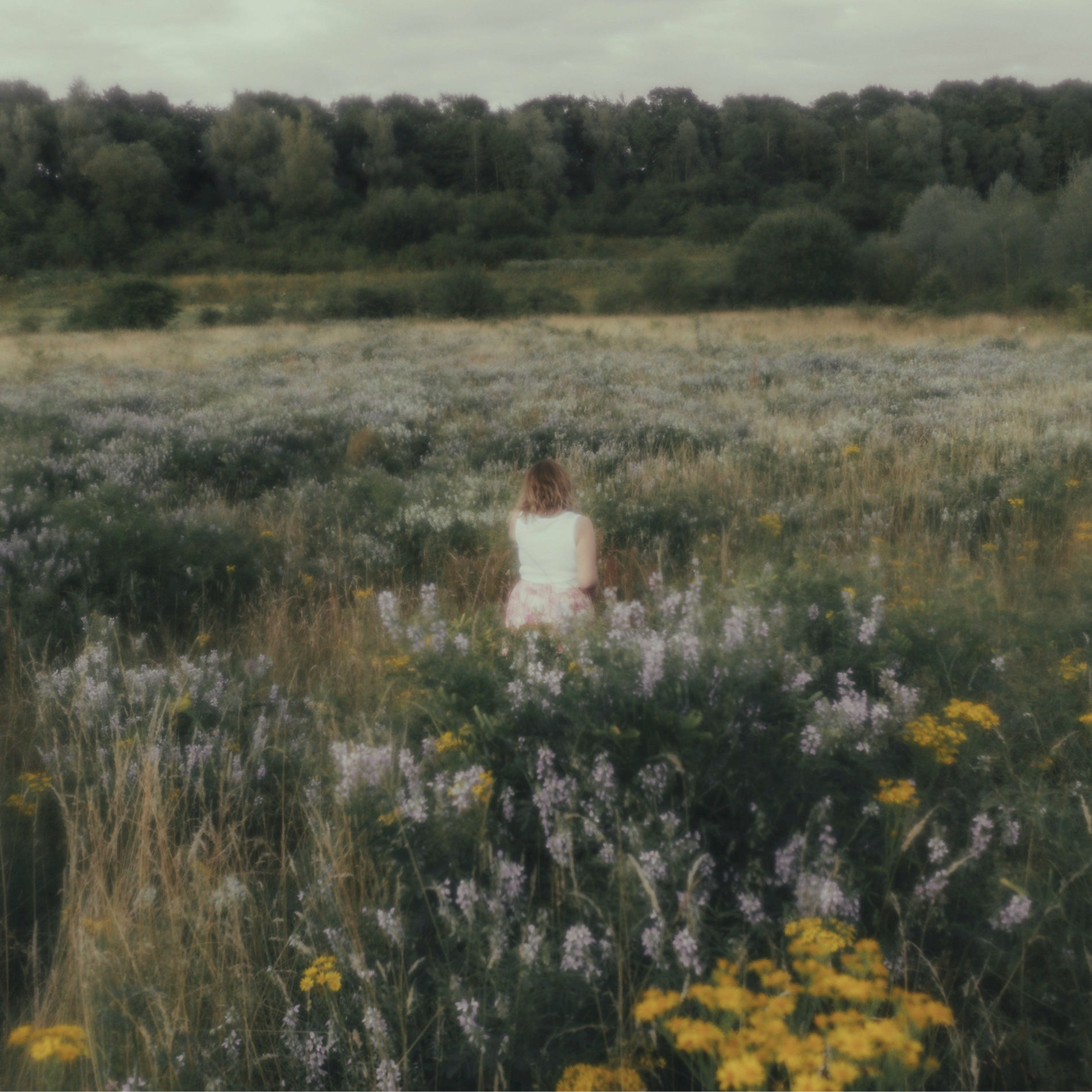 Album cover of Bigger Picture