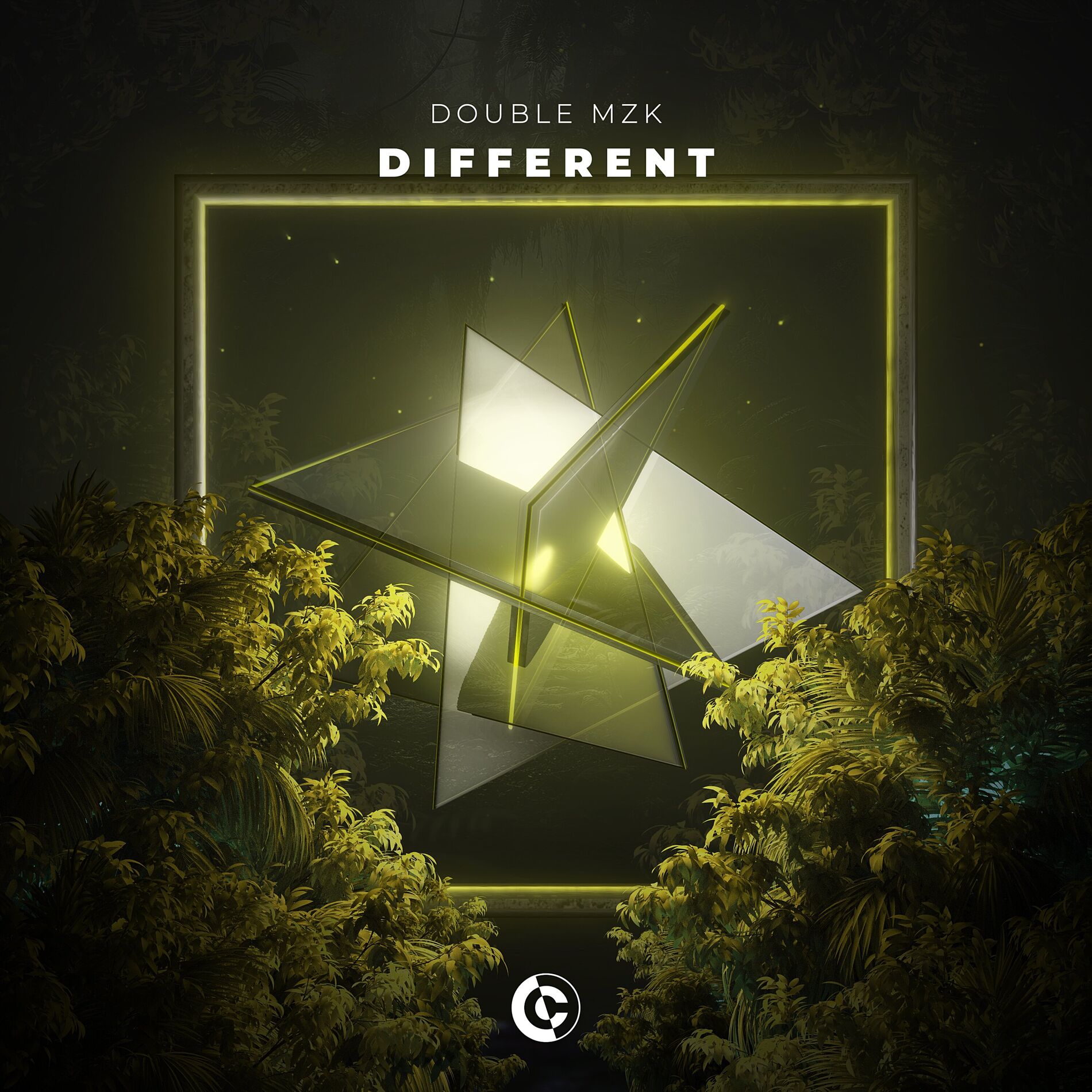 Album cover of Different