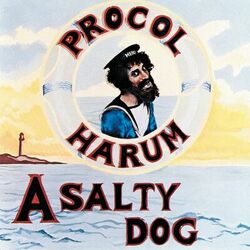 Cover of A Salty Dog