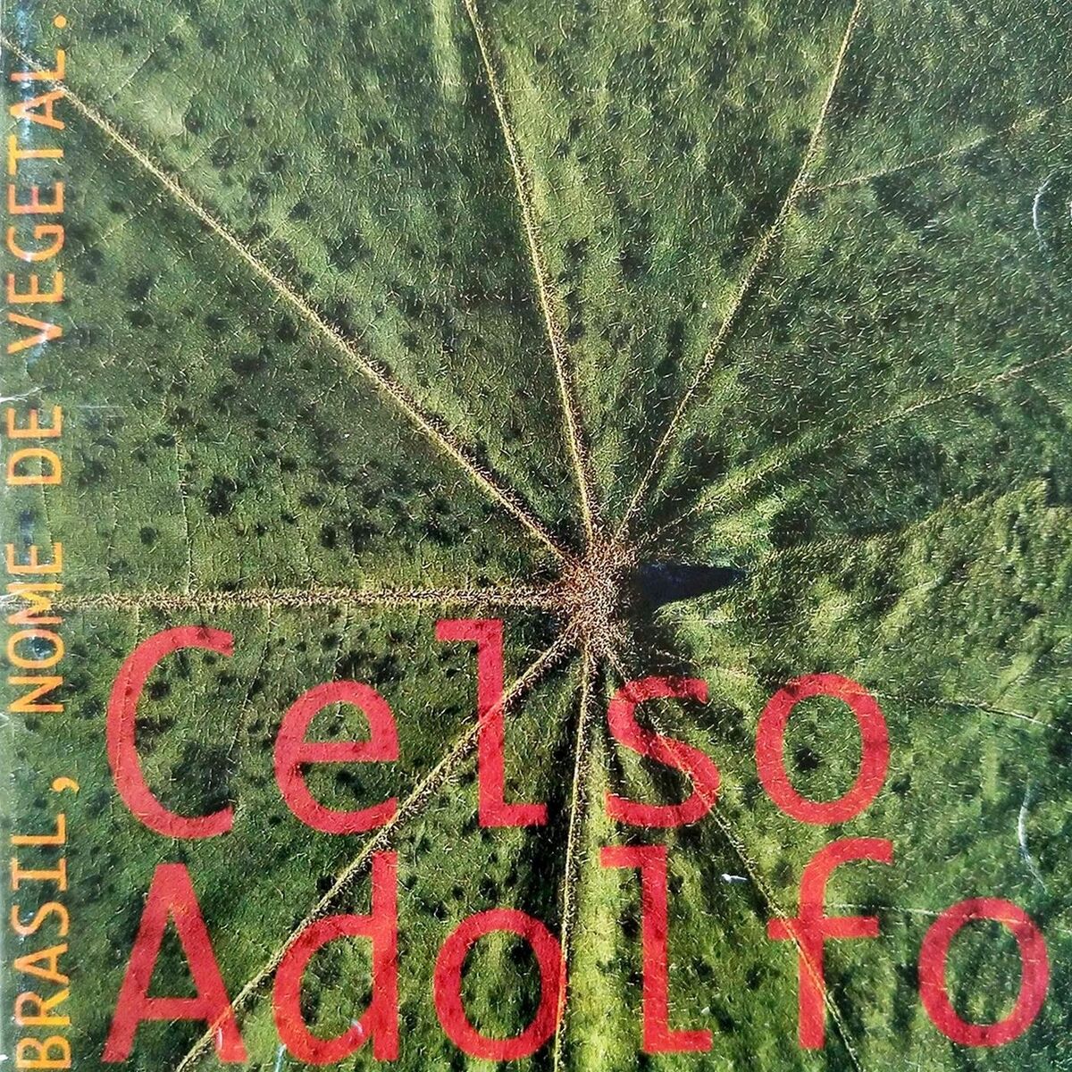Album cover of Brasil Nome de Vegetal