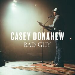 Cover of Bad Guy