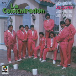 Cover of Las Iguanas