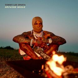 Cover of Driving Nails