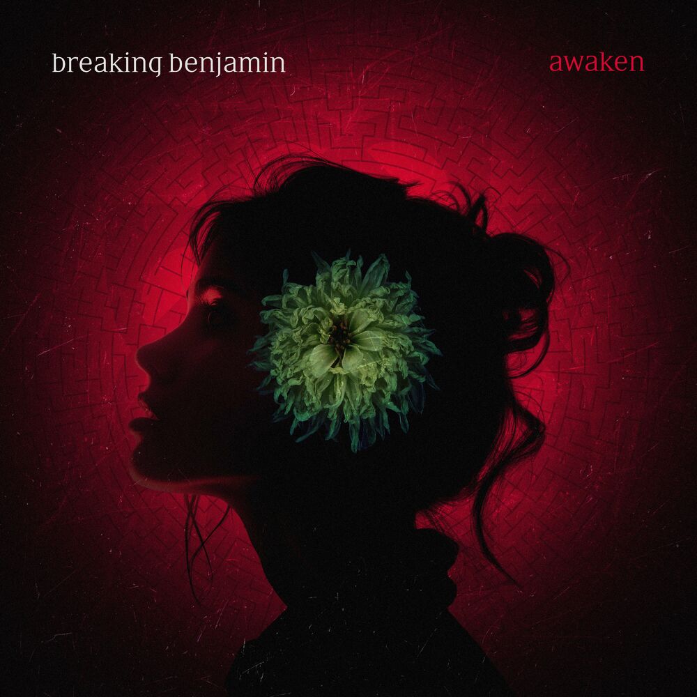 Picture of Awaken