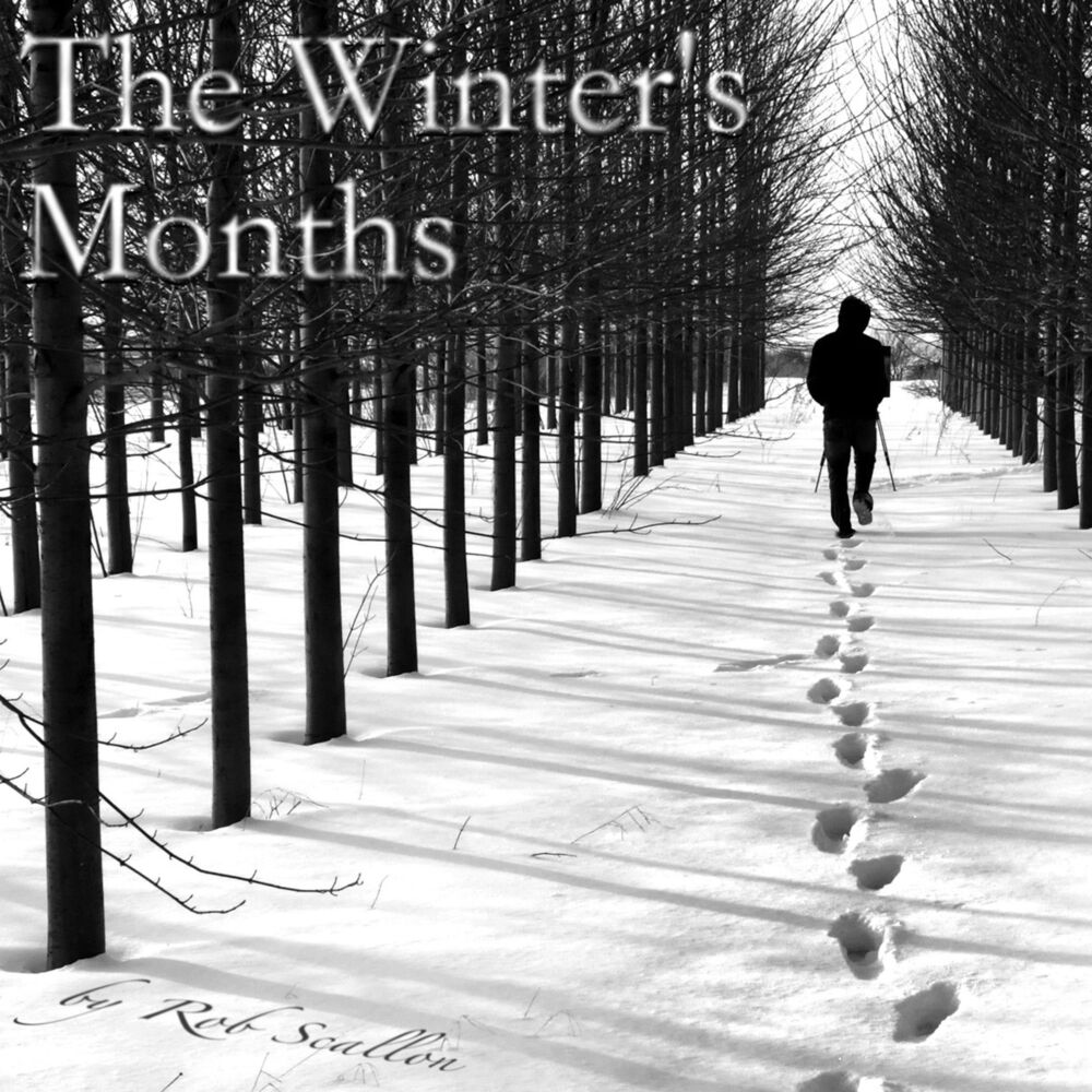 Picture of The Winter's Months