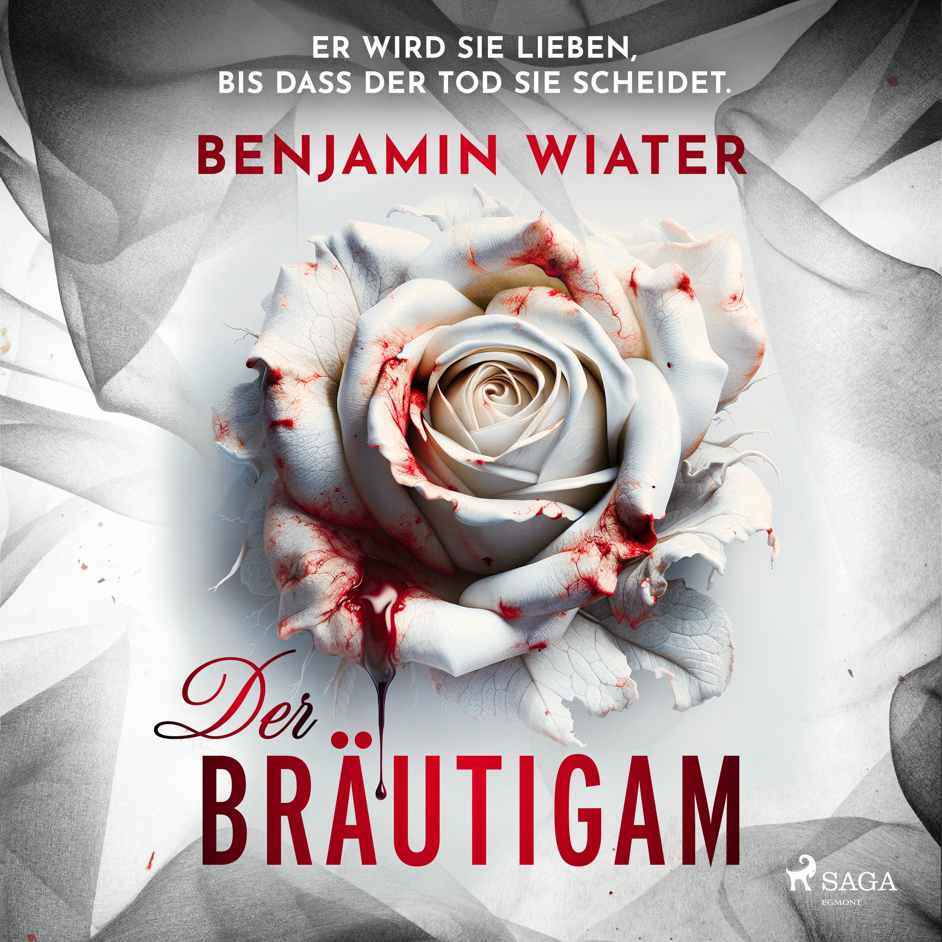 Album cover of Kapitel 01 - Der Bräutigam