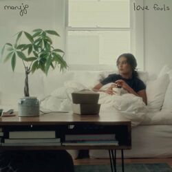 Cover of Love Fools