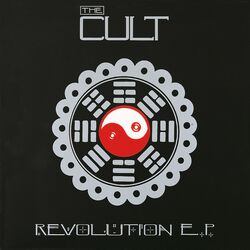 Cover of Revolution