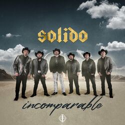 Cover of Incomparable