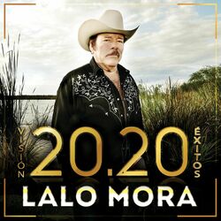Cover of Visión 20.20 Éxitos