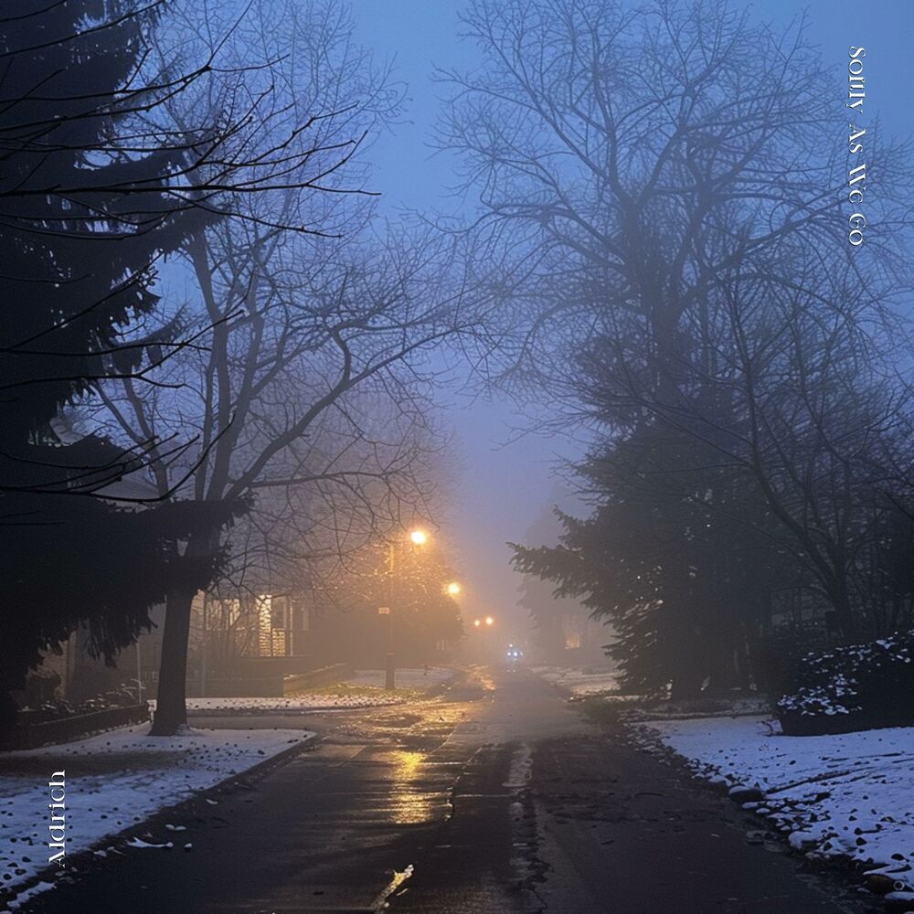 Picture of Softly As We Go