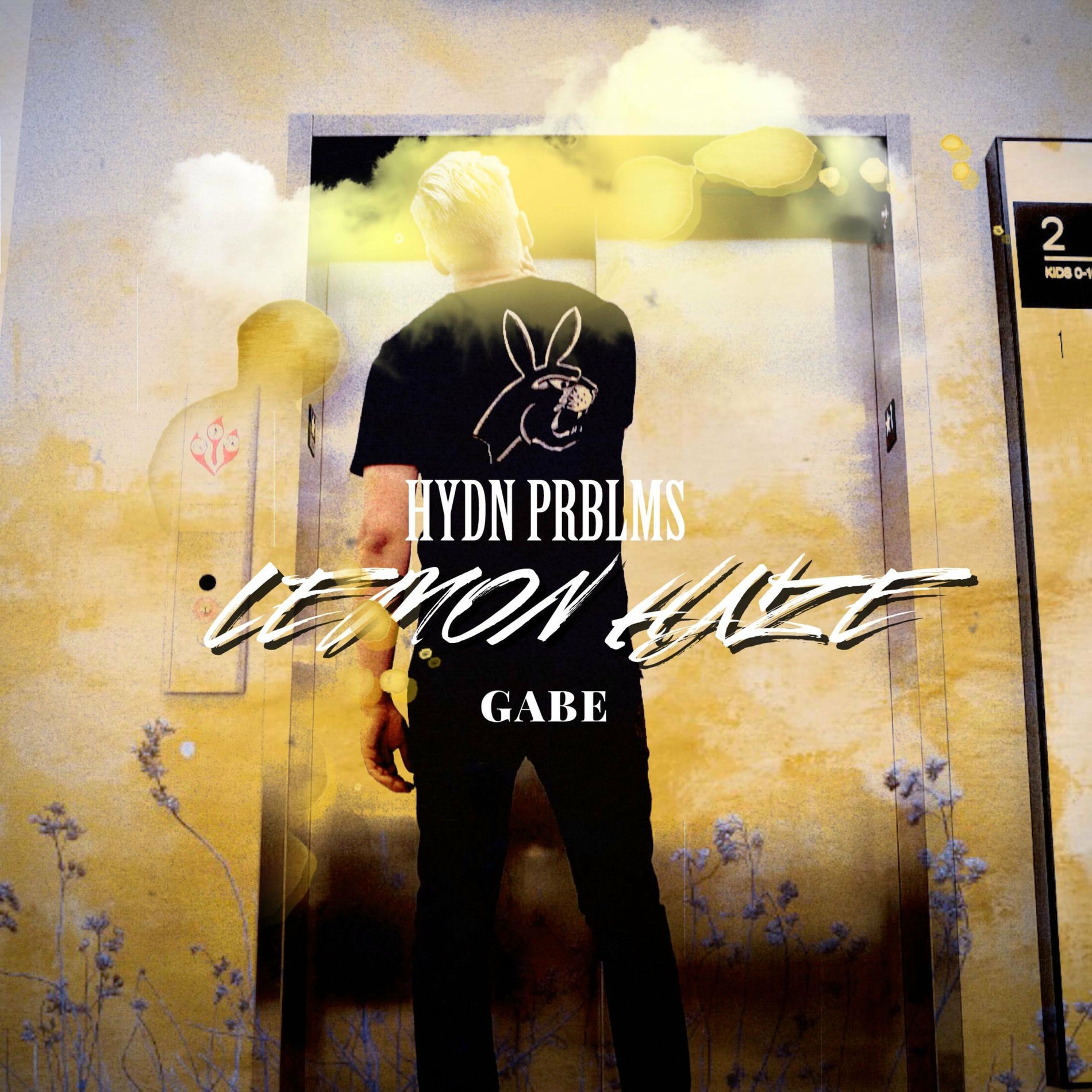 Album cover of Lemon Haze (feat. Gabe)