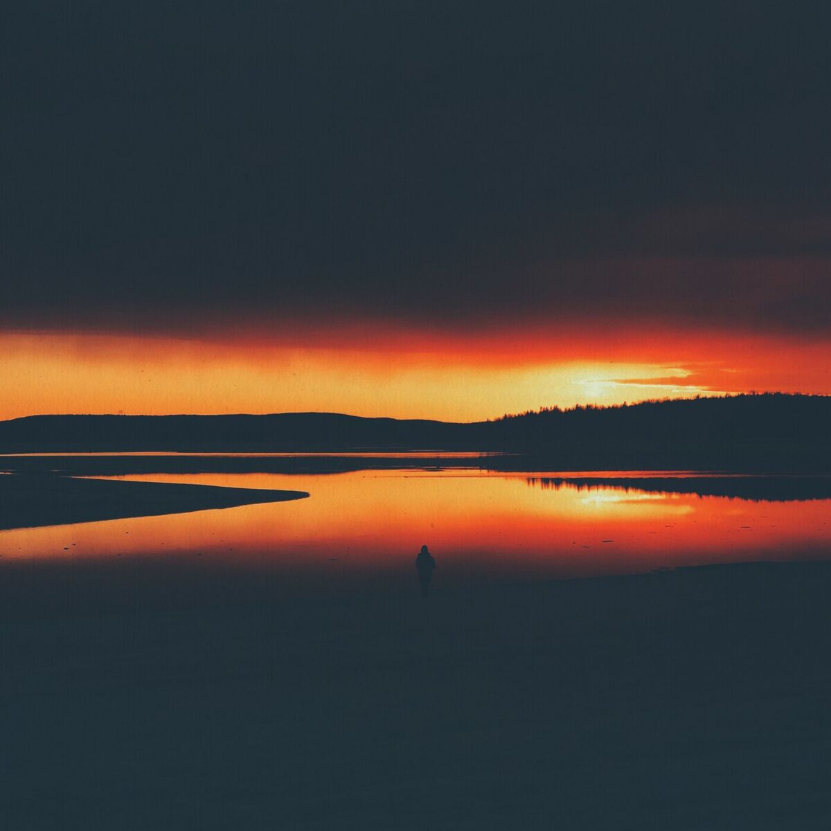 Album cover of Tamanaku (Vocal Mix)