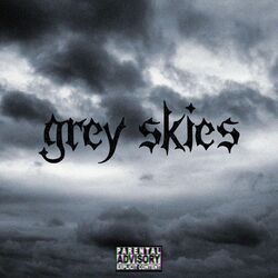 Cover of Grey Skies