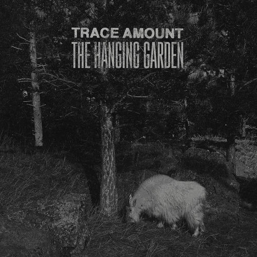 The Hanging Garden