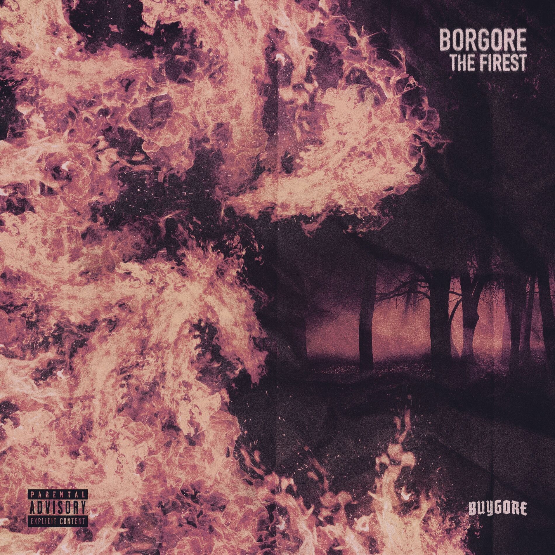 Album cover of The Firest