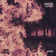 Are You Sure Now? by Borgore album cover