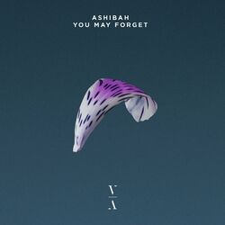 Cover of You May Forget