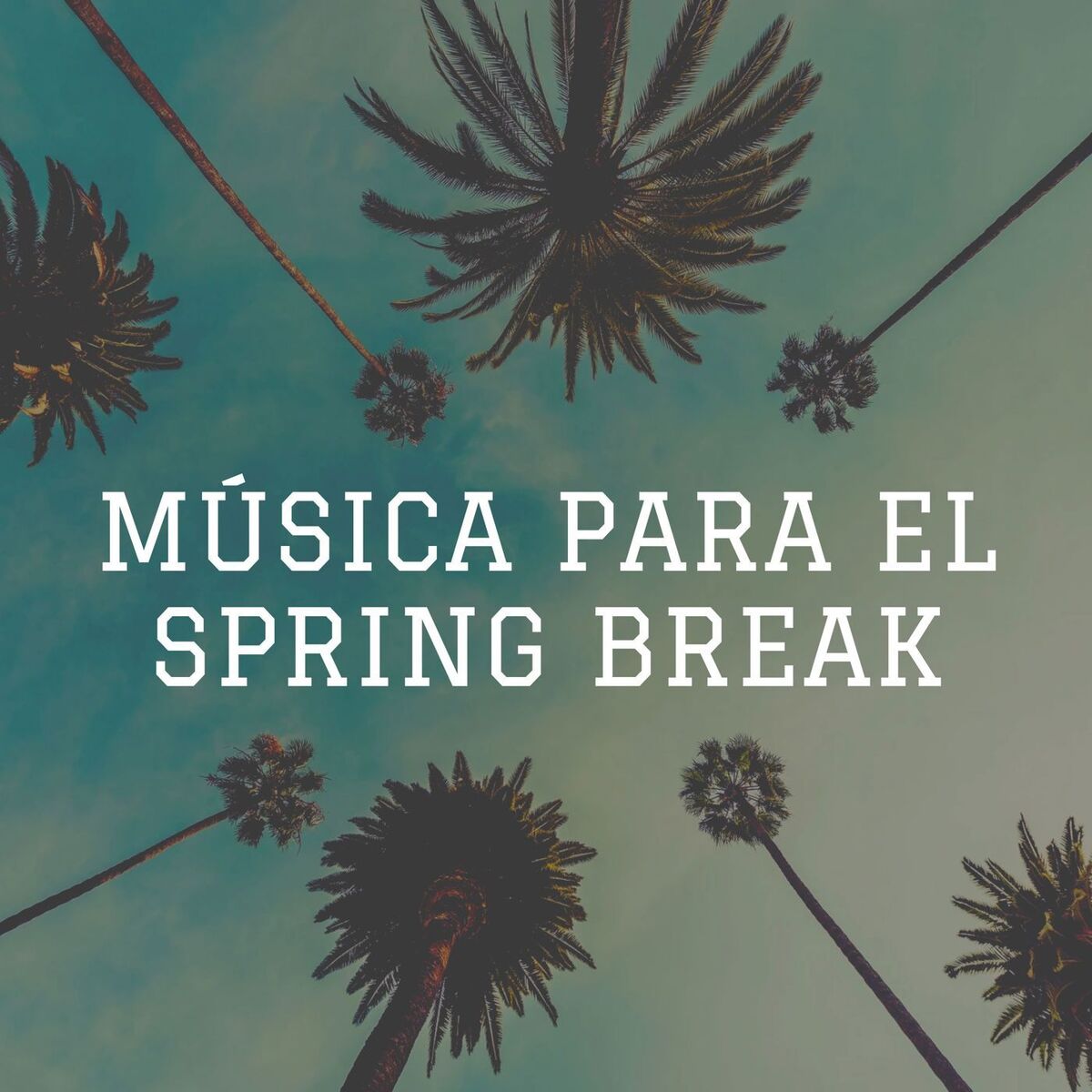 Album cover of Música para el spring break