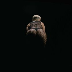 Cover of SALVAJE