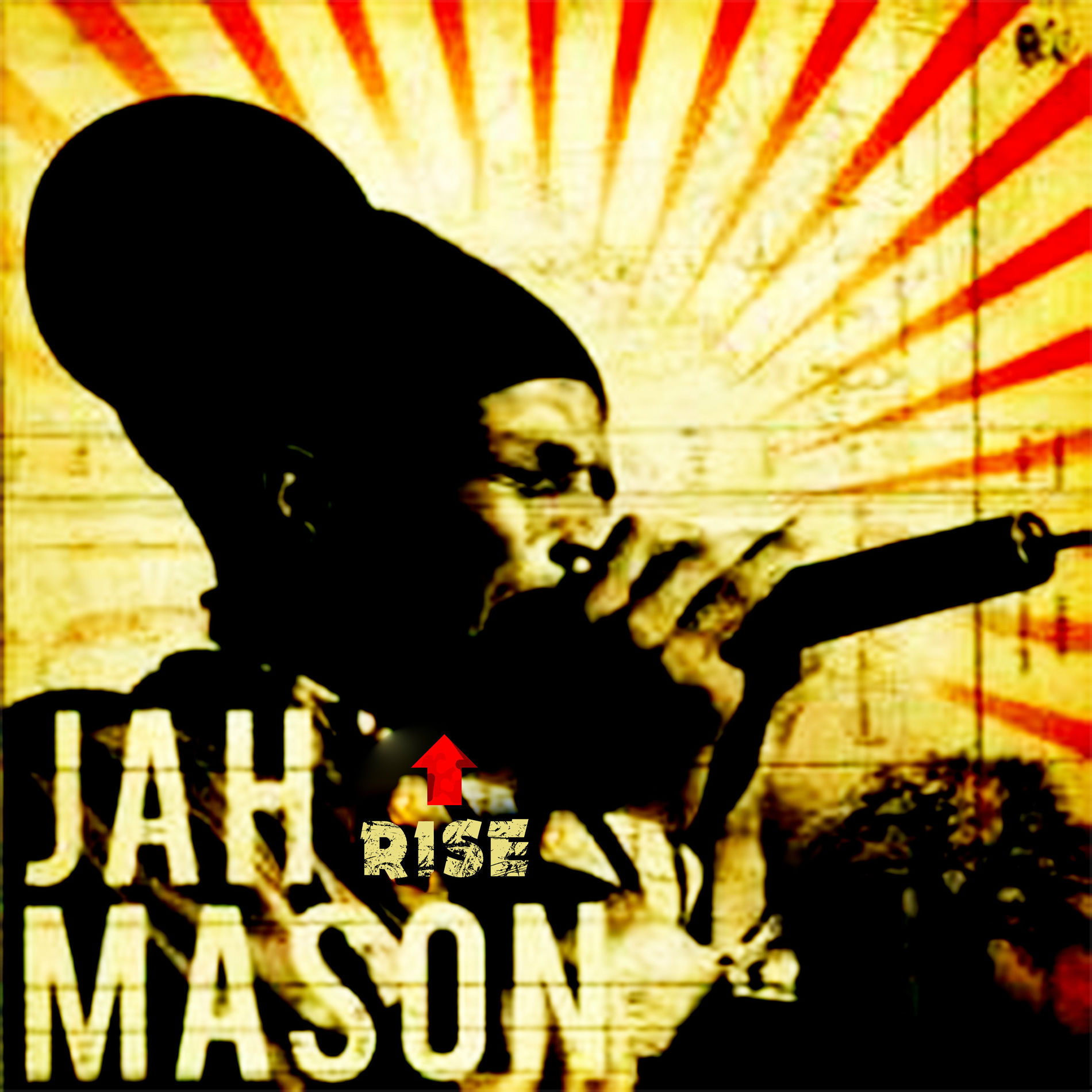 Album cover of Rise