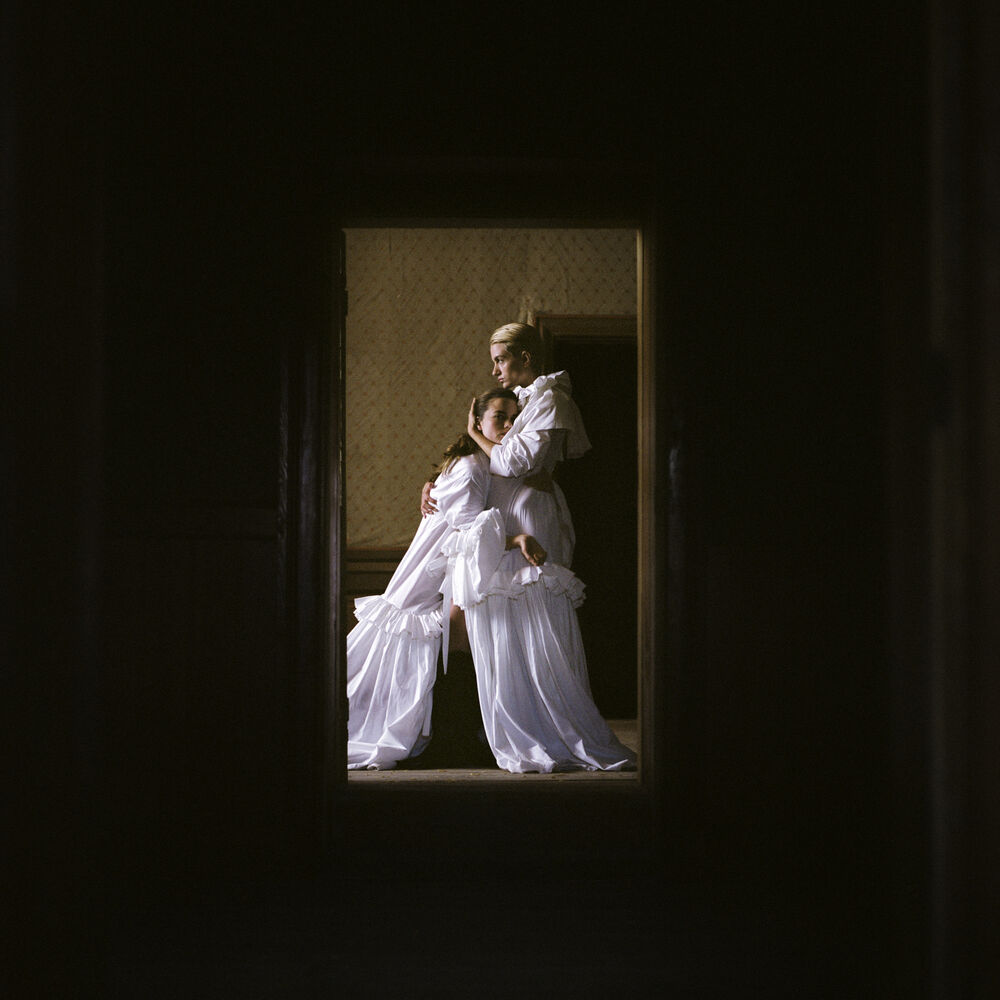 Picture of Immortelle