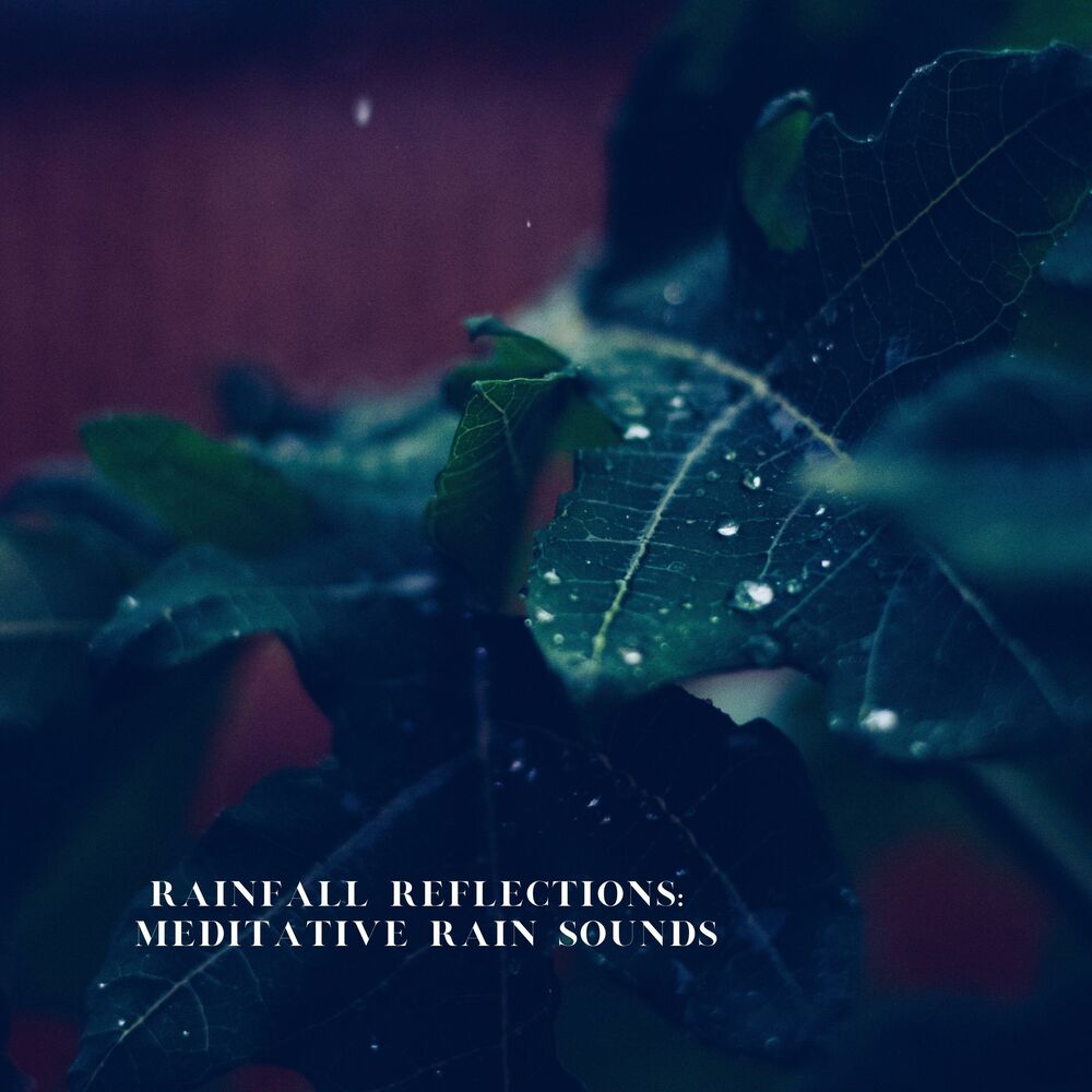 Picture of Rainfall Reflections: Meditative Rain Sounds