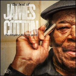 Cover of The Best Of James Cotton - The Alligator Records Years