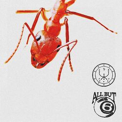 Cover of KOTA