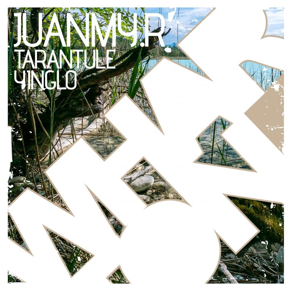 Picture of Tarantule EP