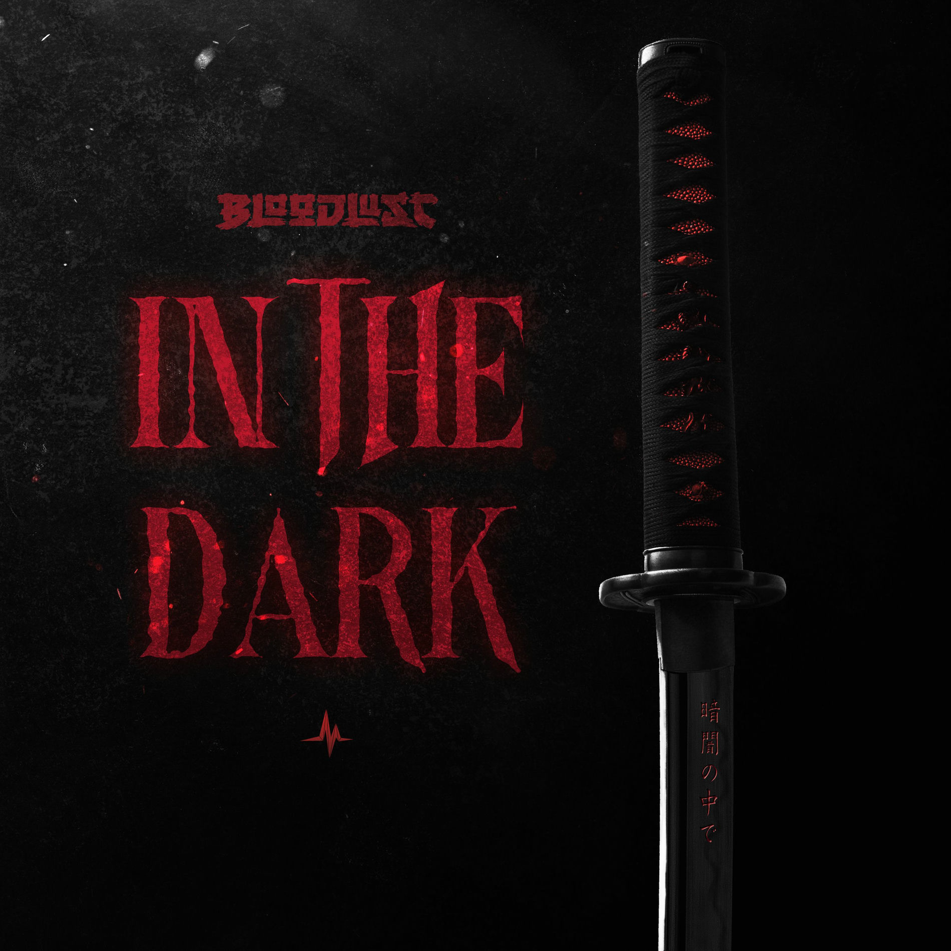Album cover of In The Dark
