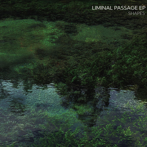 Liminal Passage artwork